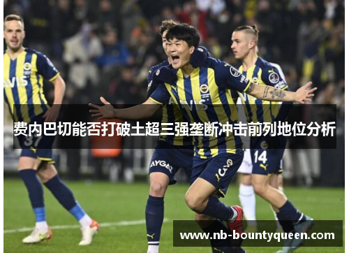 费内巴切能否打破土超三强垄断冲击前列地位分析 费内巴切能否打破土超三强垄断冲击前列地位分析