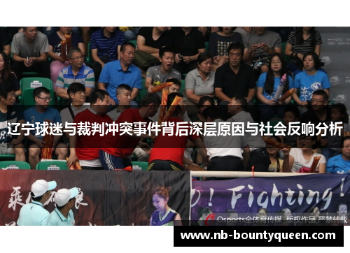 辽宁球迷与裁判冲突事件背后深层原因与社会反响分析 辽宁球迷与裁判冲突事件背后深层原因与社会反响分析